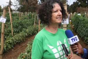 Read more about the article Fair planet holds open day on vegetable production technology at Haramaya University