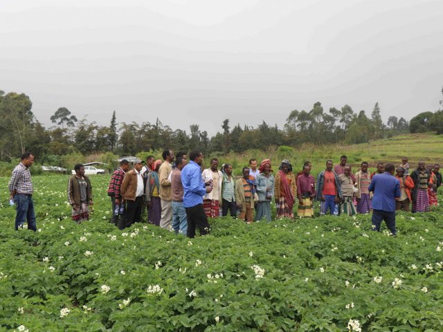 Field Visit, Gurawa Research Station